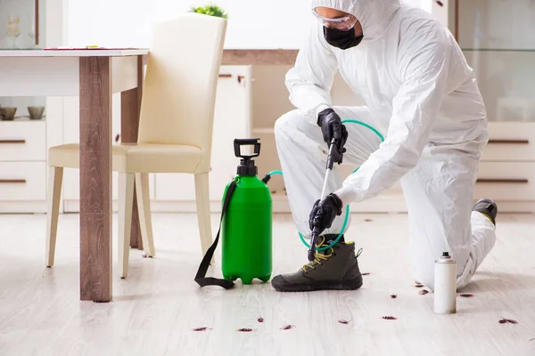 What-Pests-Require-Commercial-Pest-Control