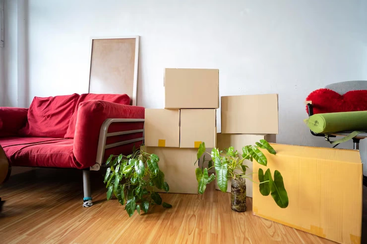 cardboard-boxes-potted-plants-household-stuff-indoors_43780-4160