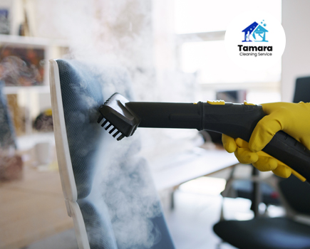 Unveiling the Power of Steam Cleaning Services